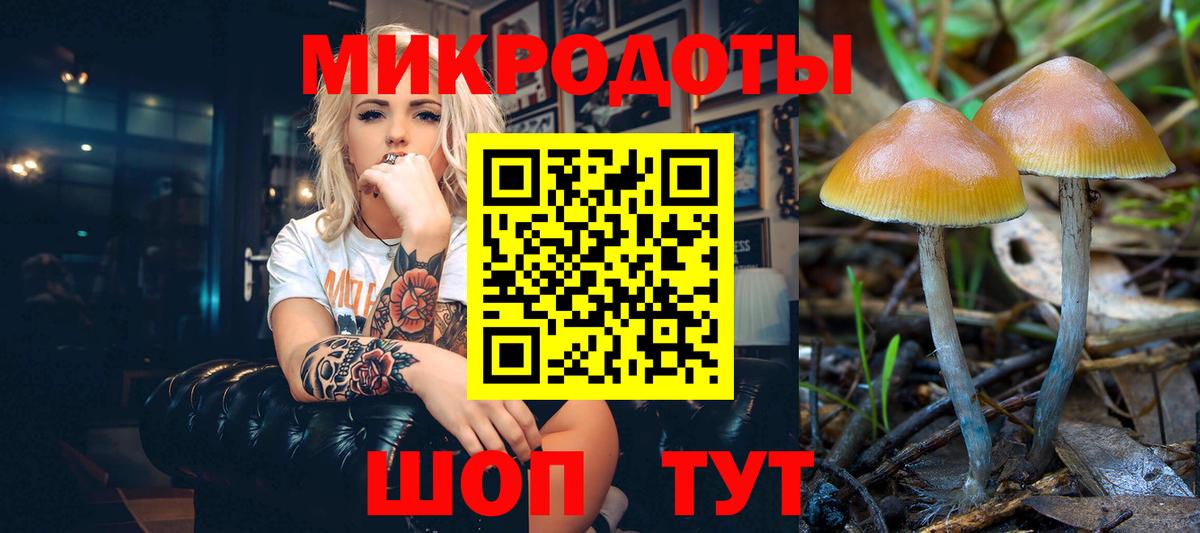 Ростов Великий  Псилоцибиновые грибы мицелий  Вход с VPN 