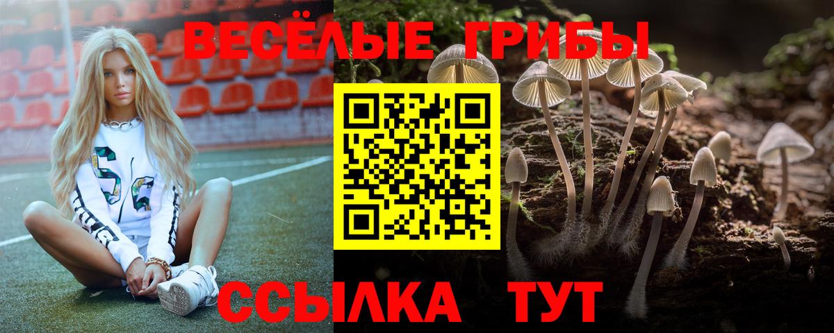 Псилоцибиновые грибы MAGIC MUSHROOMS Ростов Великий